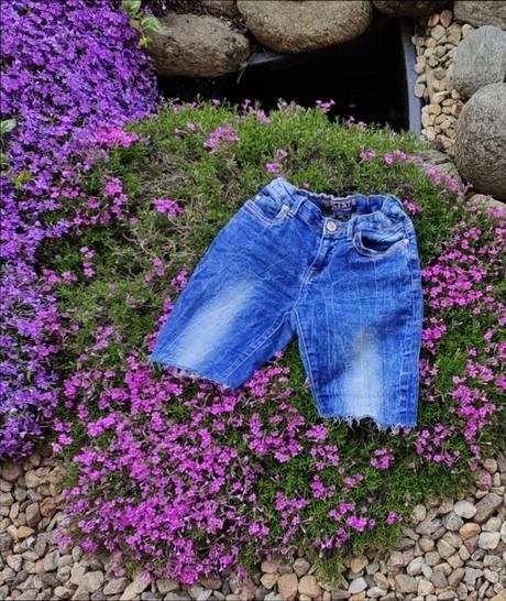 Mikina-vel.140-146+zdarma kraťasy, 140