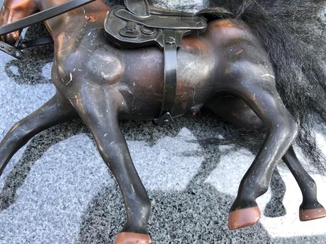 Cerno-hnedy kun s cernou hrivou,