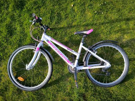 Kolo leader fox 24', 24