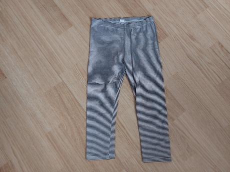 Legíny pruhované, 116