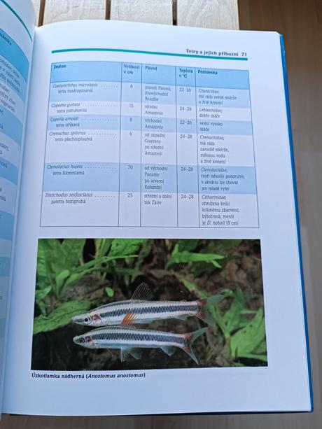 Kniha sladkovodní akvárium - hans j. mayland,