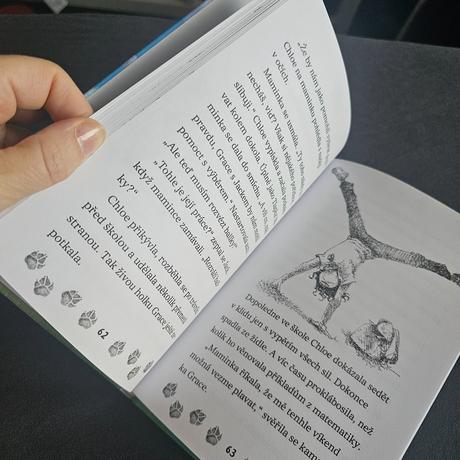 Linda chapman - tlapka hledá domov, 