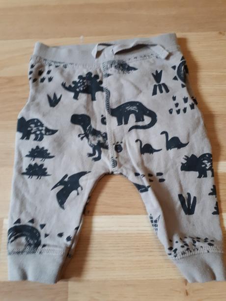 Tepláky s dinosaury, next,62