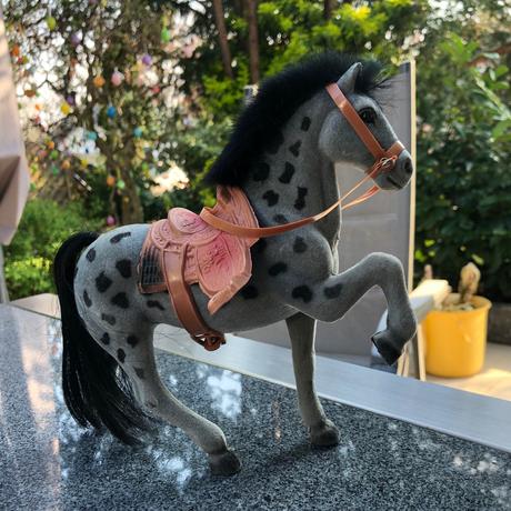 Sedivy kun s cernou privou, 