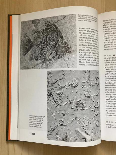 Jak se loví dinosauři aneb co nevíte o historii...,