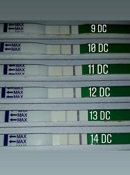 Ovulace. Blíží se?