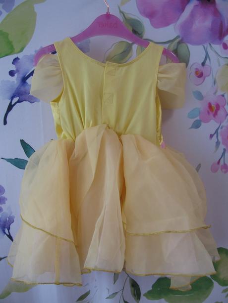 Karneval - tylové šaty divotvorný hrnec, 