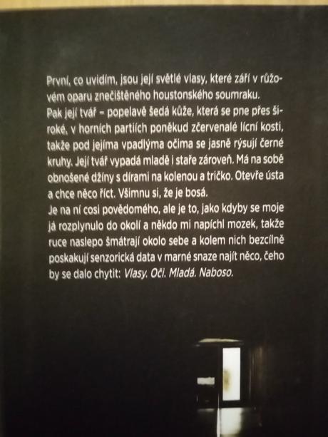Kniha dcera někoho jiného, 