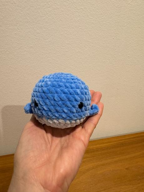 Hačkovaná velryba malá, 