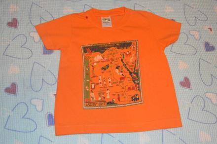 Oranžové tričko, cactus clone,98