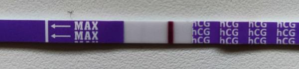 Mohu být těhotná i přes krátký cyklus?