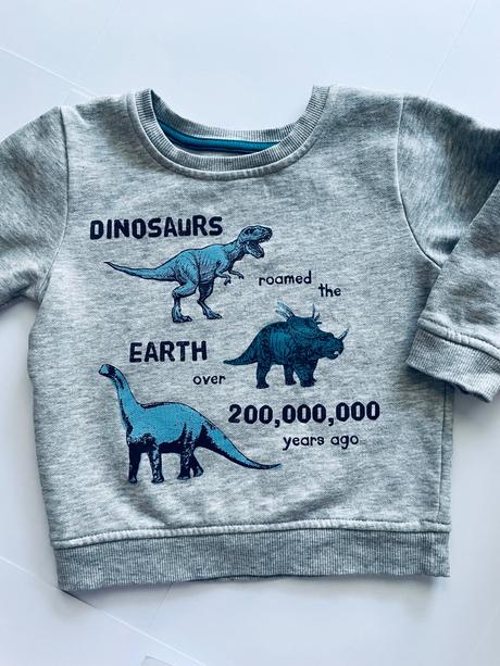 Mikina s dino - v.86, st. bernard,86