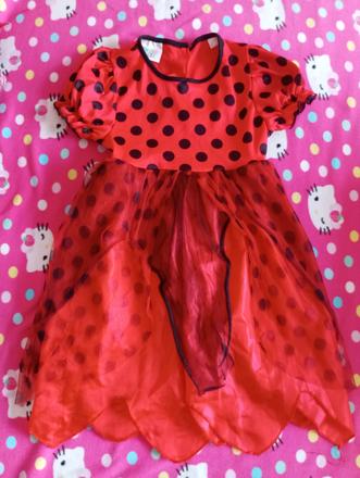 Šaty beruška 3-4roky,