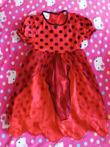 Šaty beruška 3-4roky, 