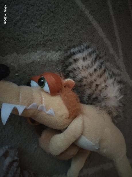 Veverka doba ledová,