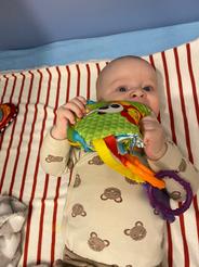 Měkká knížka se zvířátky Fisher-Price