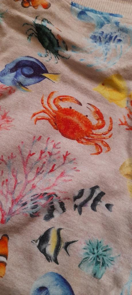 Pestré teplákové kraťasy mořský svět, h&m,140