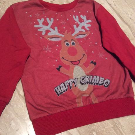 Mikina se sobem zn. rebel, 110