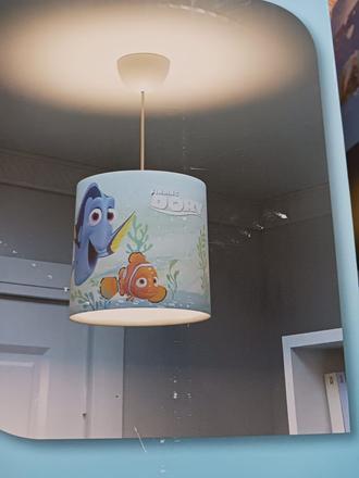 Dory lustr,