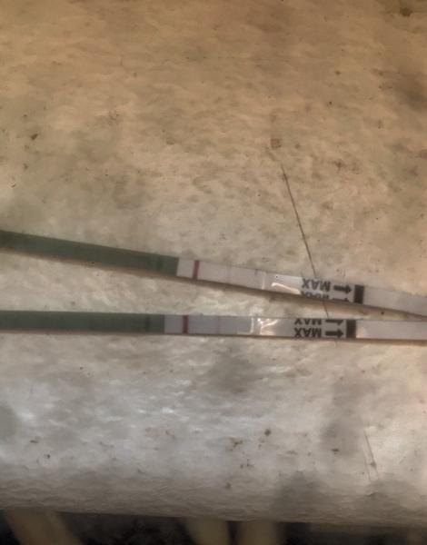 Vrchní je dělaný první, spodní je dělaný druhý den. Co myslíte?