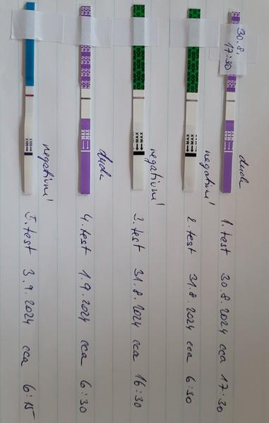 Může to být těhotenství?