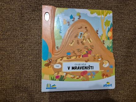 Dětská kniha - co se děje v mraveništi, 