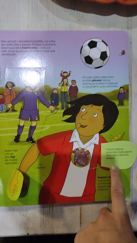 Knížka lidské tělo s odklápěcími okénky,