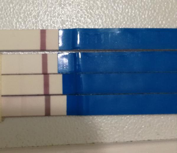 Mohu být těhotná? Co si o tom myslíte?