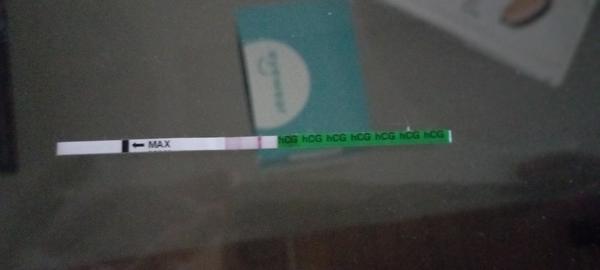 Je těhotenský test Pepino spolehlivý?