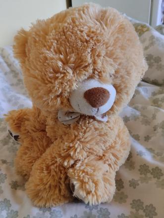 Plyšový medvídek, 