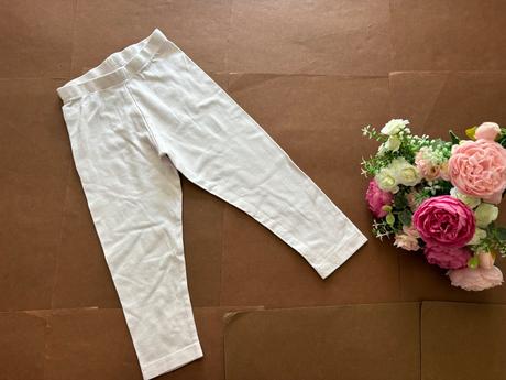 Legíny - v.12/18 měs, st. bernard,86