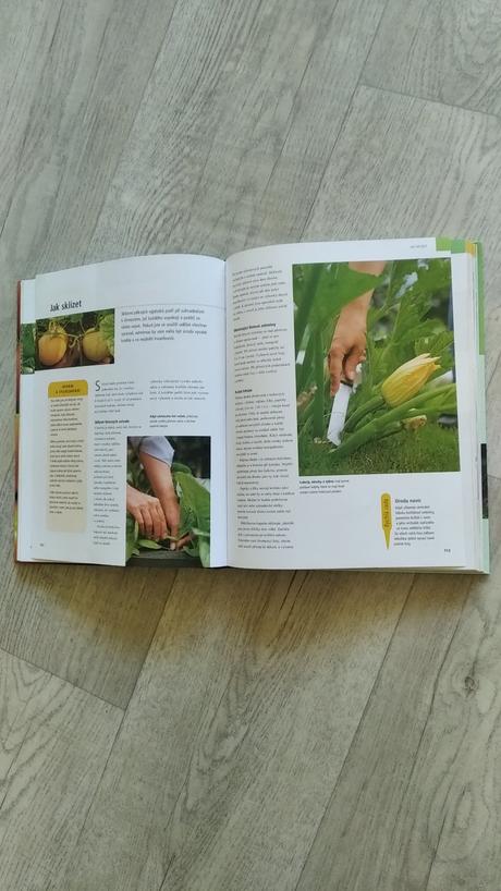 Moje zeleninová zahrádka, 