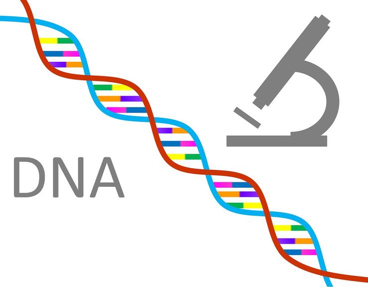 DNA řetězec