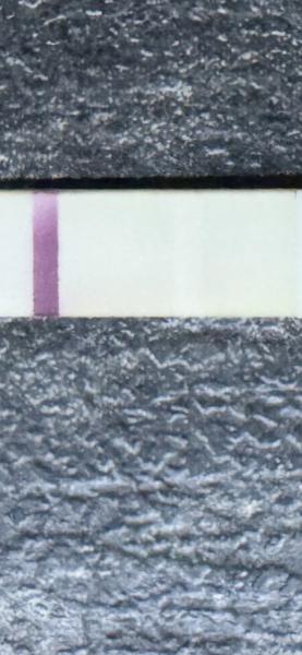 Bílá čára na testu. Co to znamená?