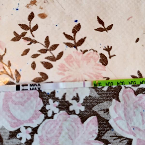 Je to duch nebo ryska na těhotenském testu?