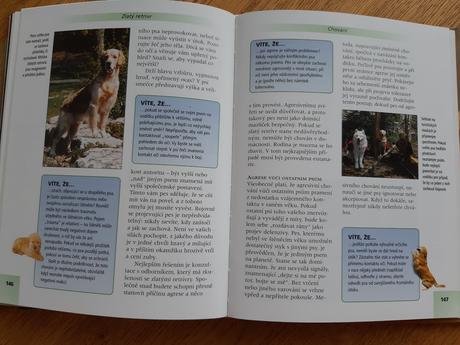 Zlatý retrívr kniha.,