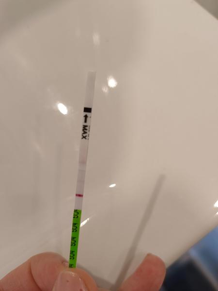 Uviděla jsem na těhotenském testu druhou čárku?