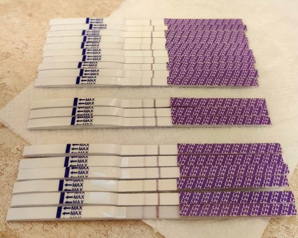 Ovulace: Jak interpretovat ovulační testy při nepravidelném cyklu?