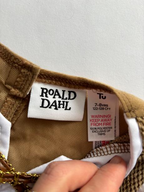 An13/ kostým obr dobr - v.7/8 let, 