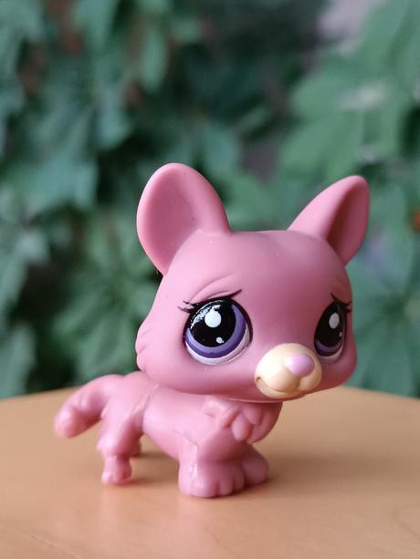 Lps pejsek + pelíšek + deka + kost,