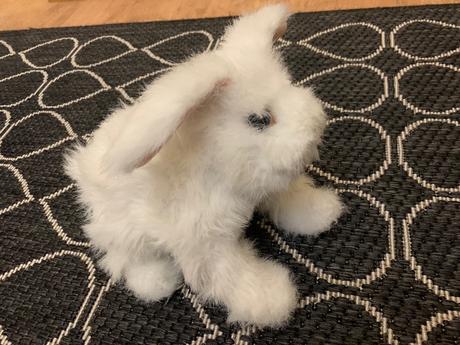 Sada plyšových domácich zvířátek,