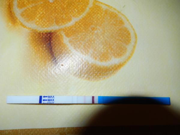 Holky, co myslíte? Jsem těhu?