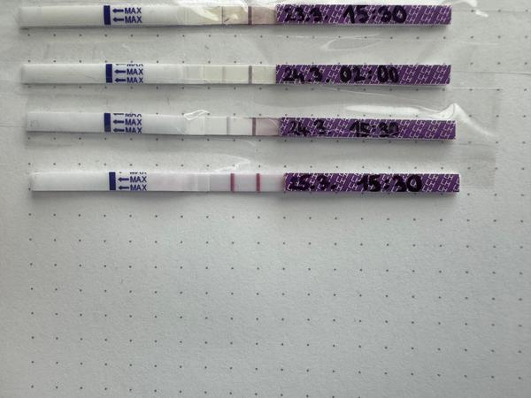 Je můj test opravdu pozitivní? Kdy začít akci?