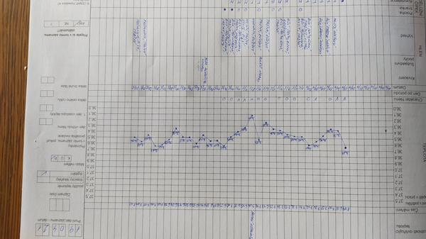16. DPO, MS není, těhotná nejsem. Co se děje?