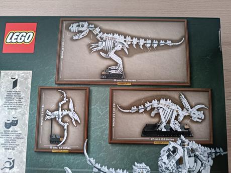 Lego ideas 21320 dinosauří fosilie, 