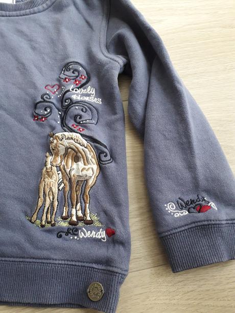 1064 - mikina wendy, 116