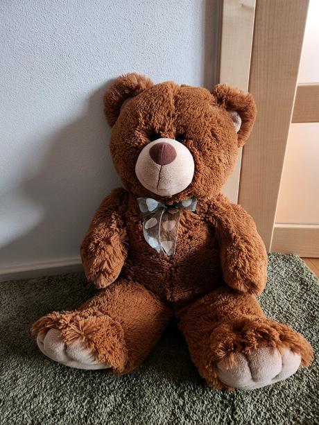 Plyšový medvěd,