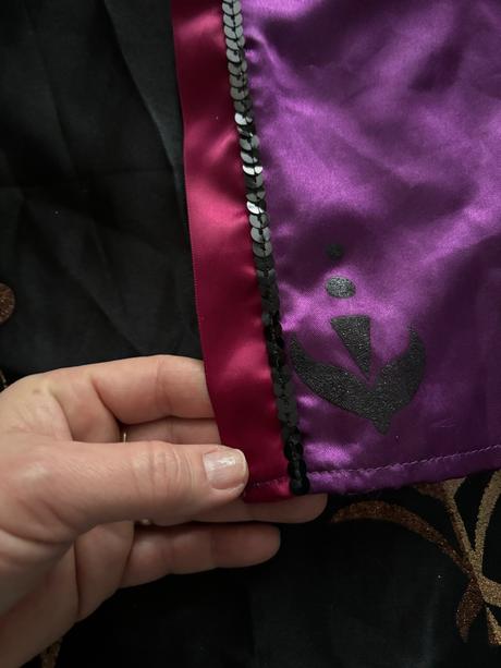 Ob/ kostým anna frozen - v.7/8 let,