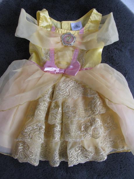 Karneval - tylové šaty divotvorný hrnec, 