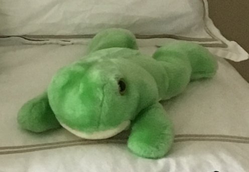 Sháním tuto plyšovou žabku. Prosím, pomozte!